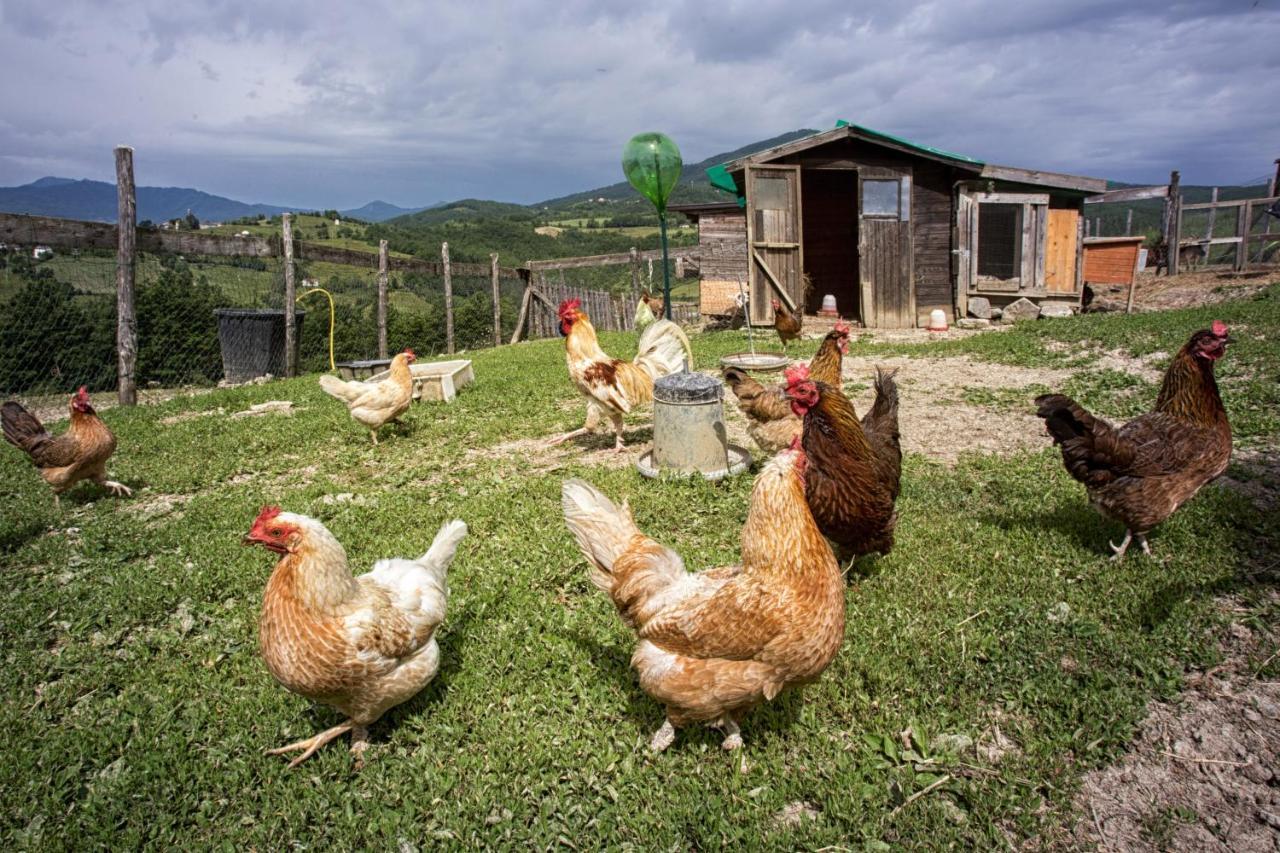 Societa Agricola Cacigolara Villa Borgo Val di Taro Dış mekan fotoğraf
